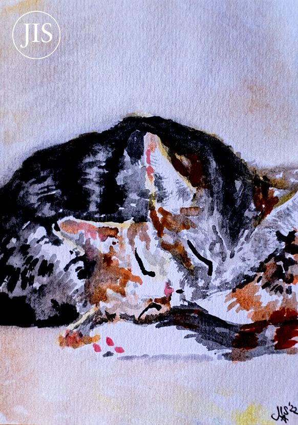 Two Cats