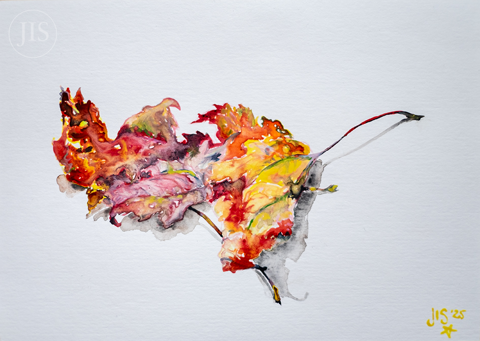 Autumn leaves