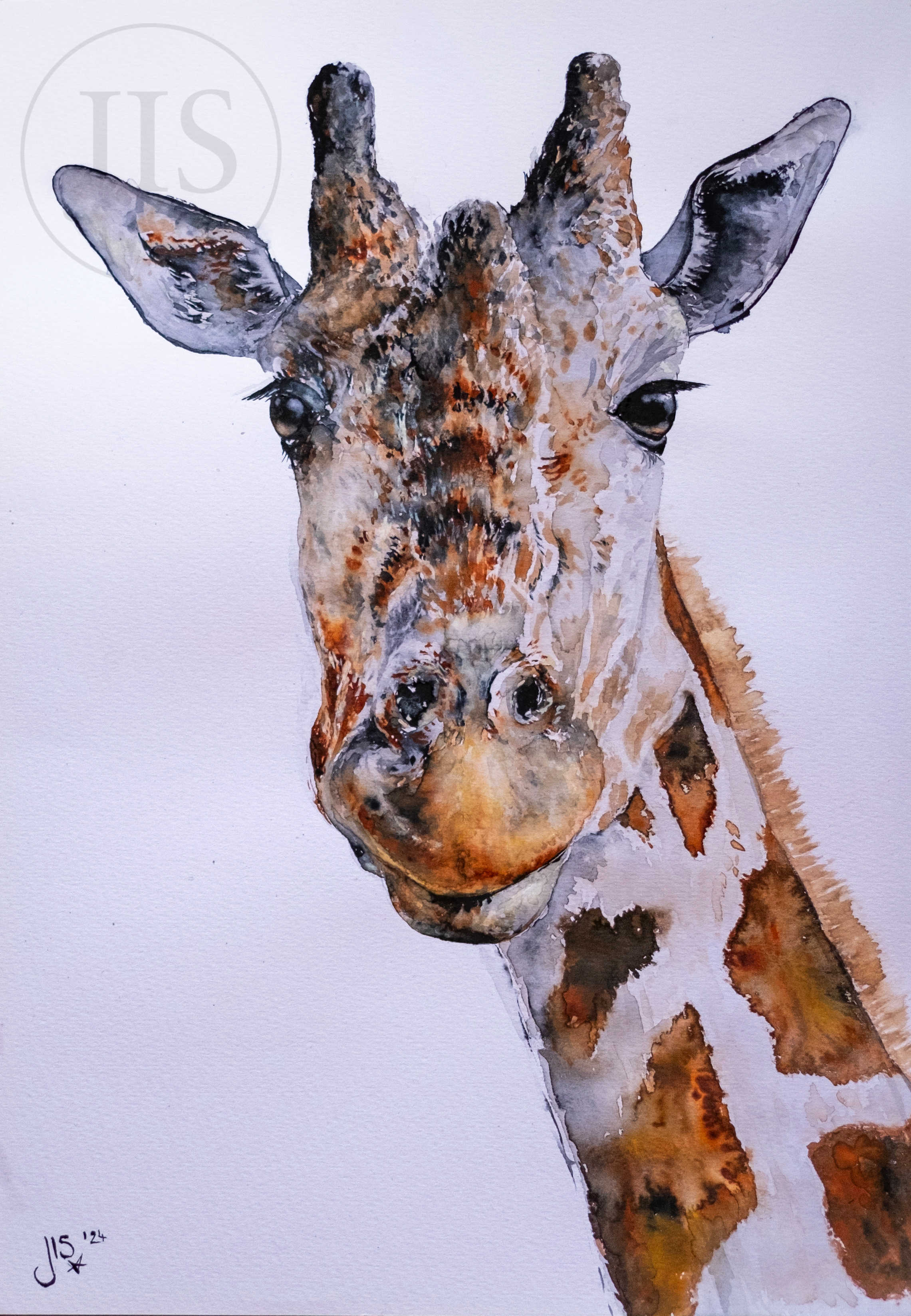 Giraffe