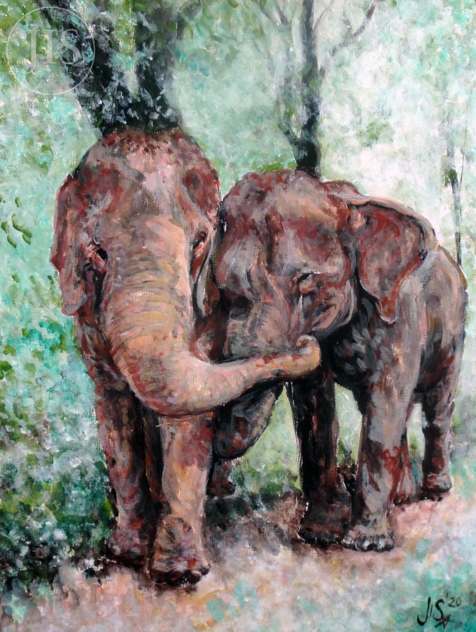 Elefants in love