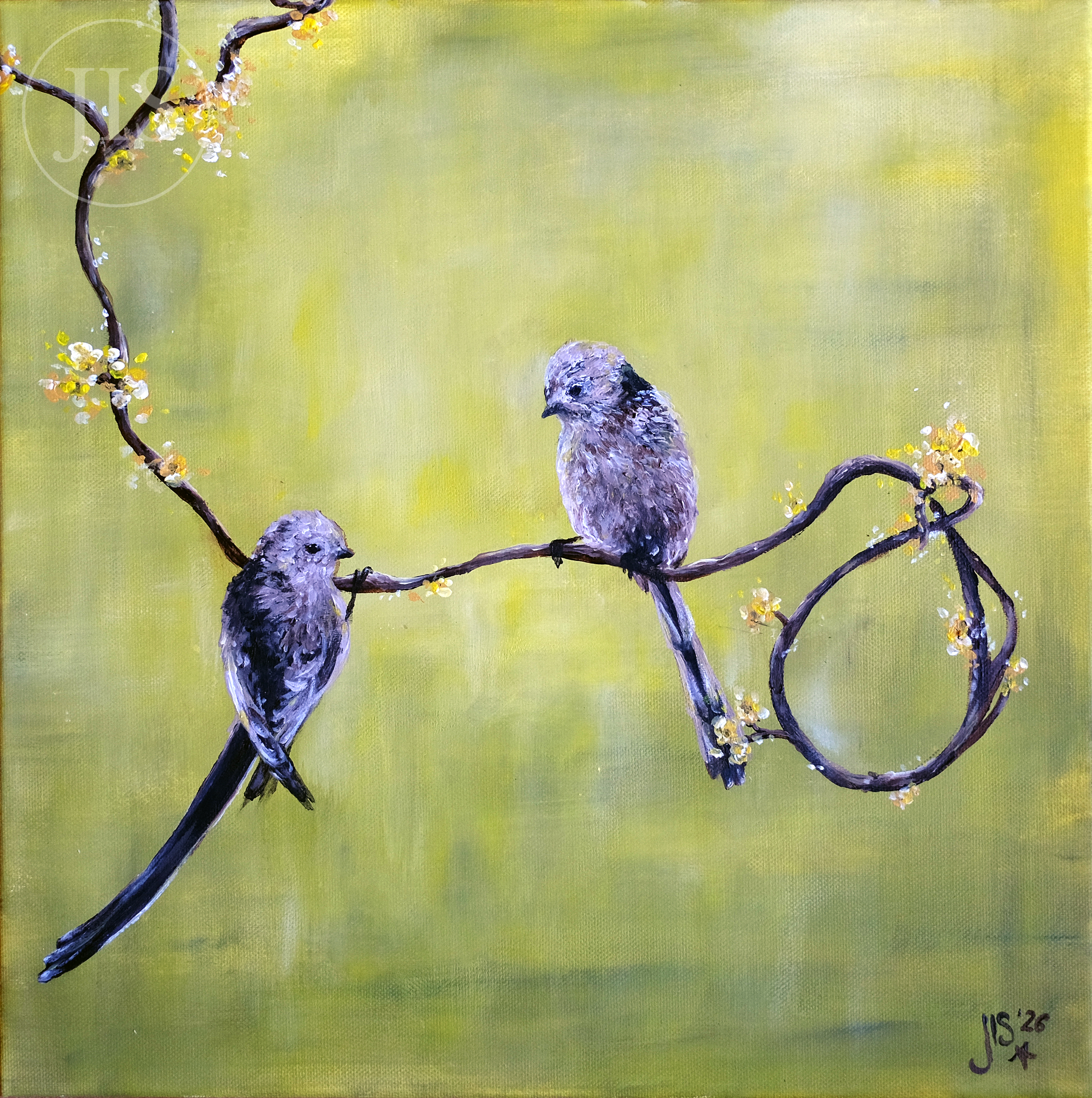 Birds with yellow background